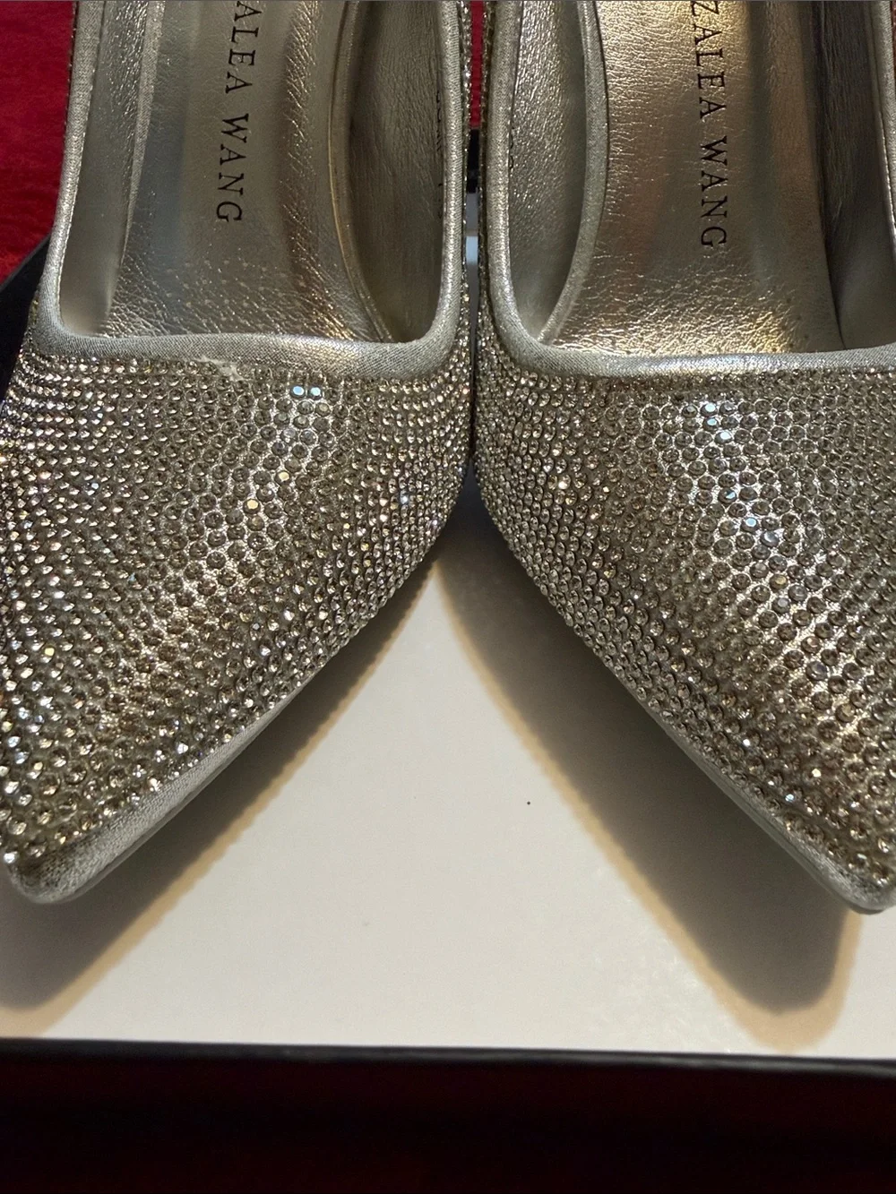 Crystal-Embellished Silver Pointed-Toe Stiletto Pumps